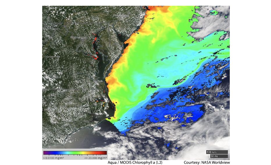 Aqua/MODIS Chlorophyll a (L2) image